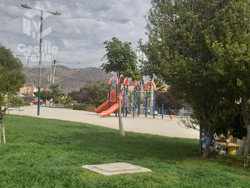 Imagen 5