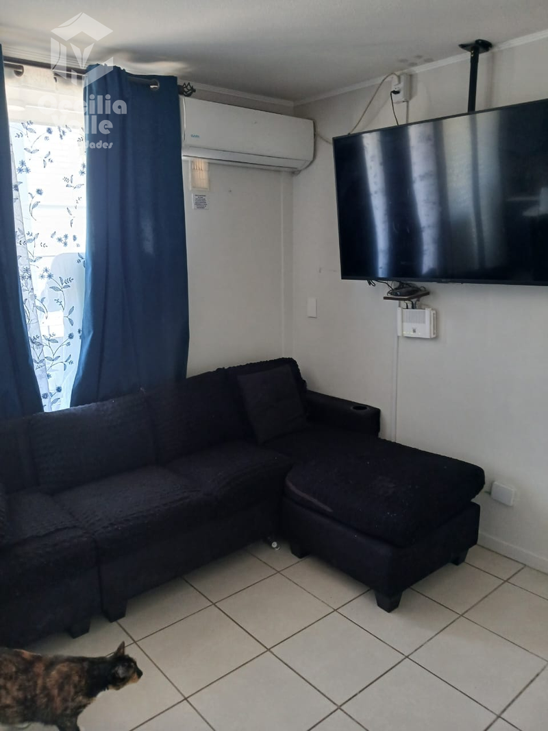 Imagen 5