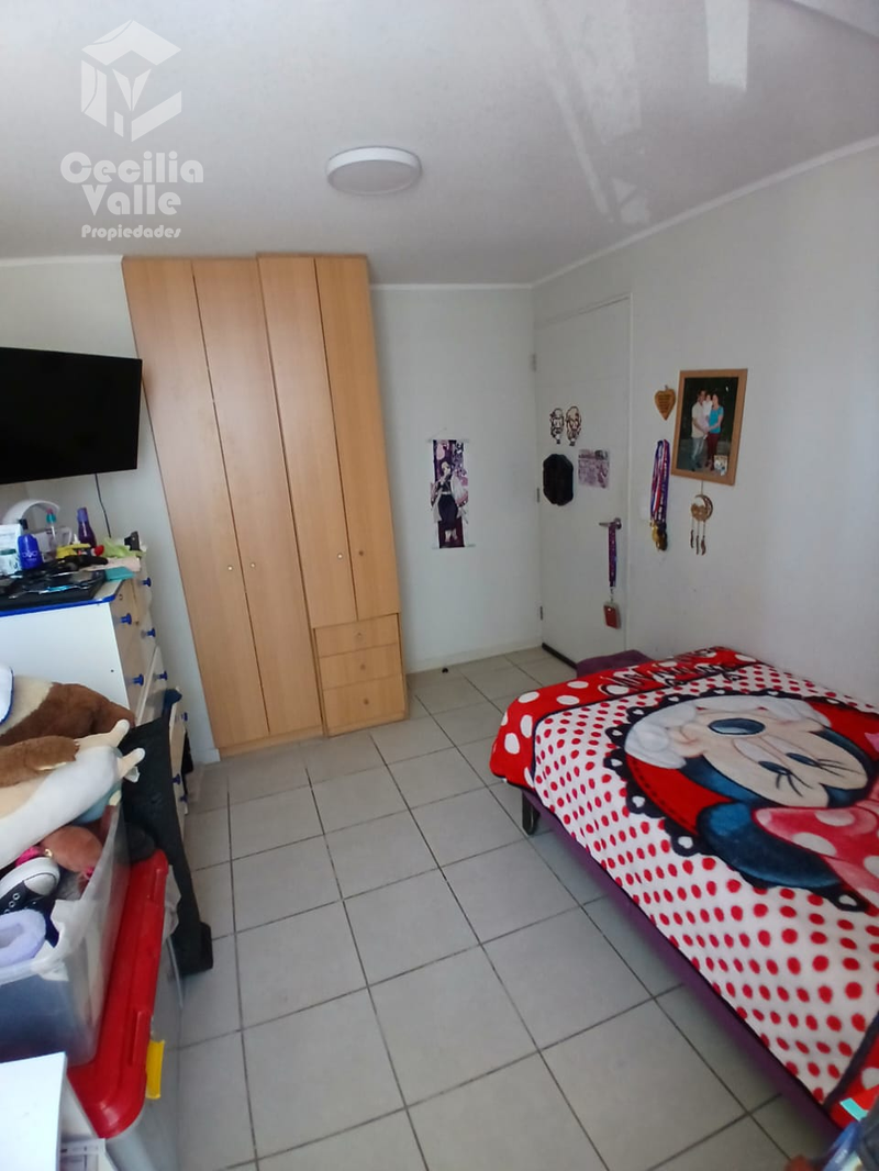 Imagen 6