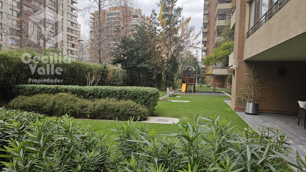 Imagen 5