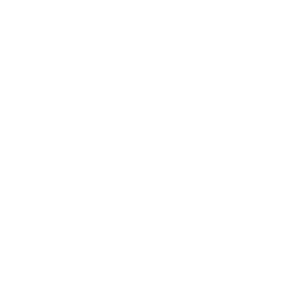 Cecilia Valle Propiedades